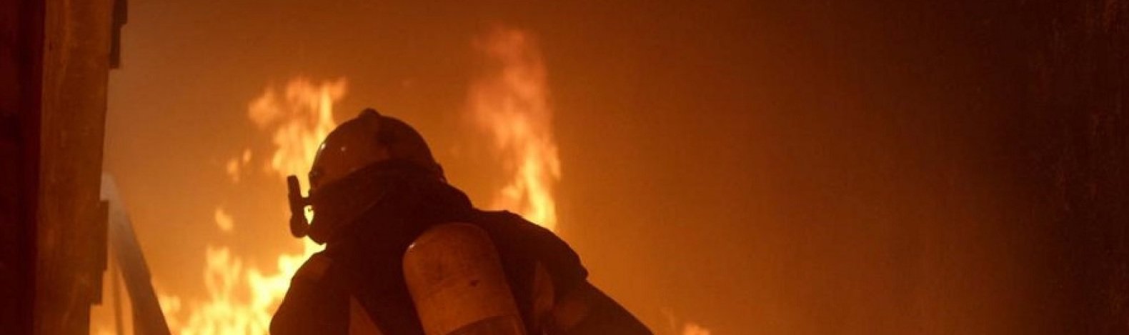  ������ ���� ������ ����������� ����� 31-������ ������� ���� 