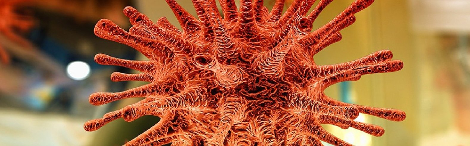  covid-19 ������ ���� ������������ ������� ������� �������� ������ 