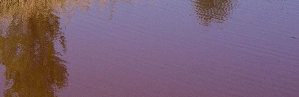  ������� �������� ��������� ��������� ����� ����� ��������������� ����������� 