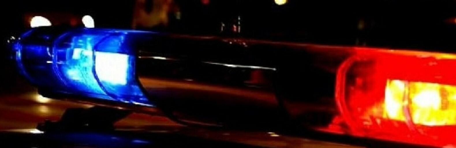  ������ ���� ������ ������������ �������� ����� ������������ ����� 