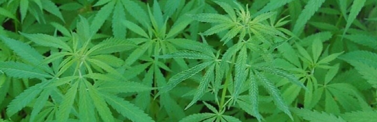  ������ ������� ���� ������� �������� ��������� ����������� ������� 