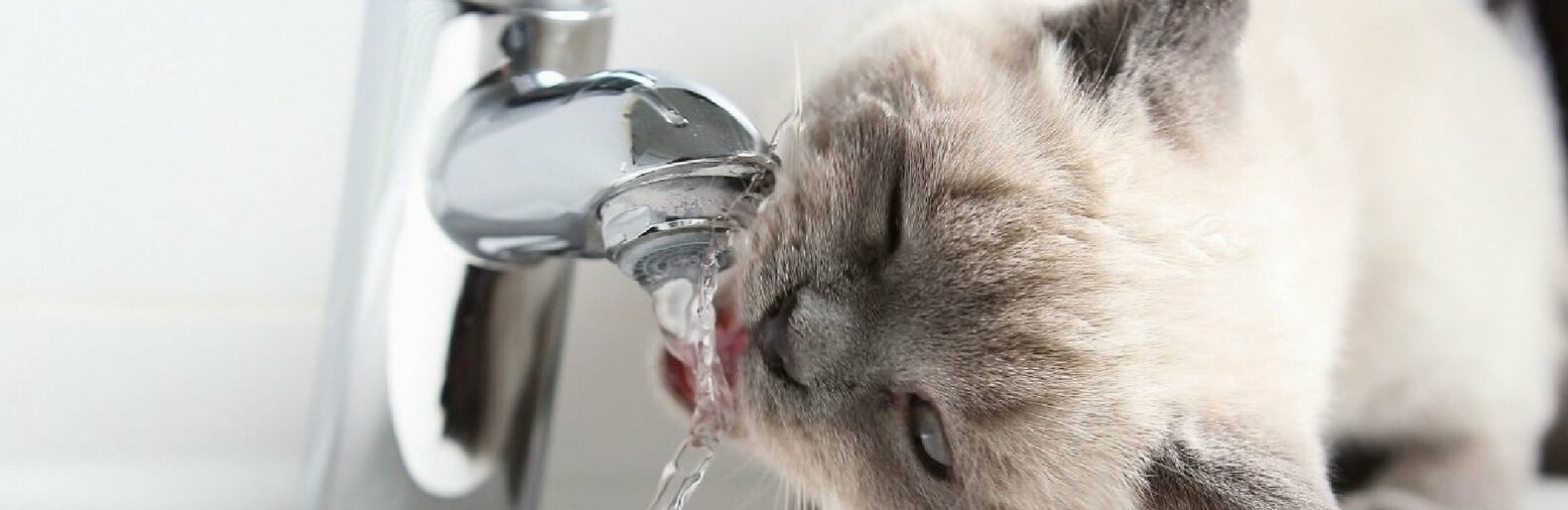  ���������� ���� ������ ��� ���� �������� ���������� 