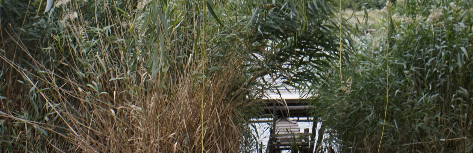  ����� ��������������� ������ ������ ���� ����������� ����� 