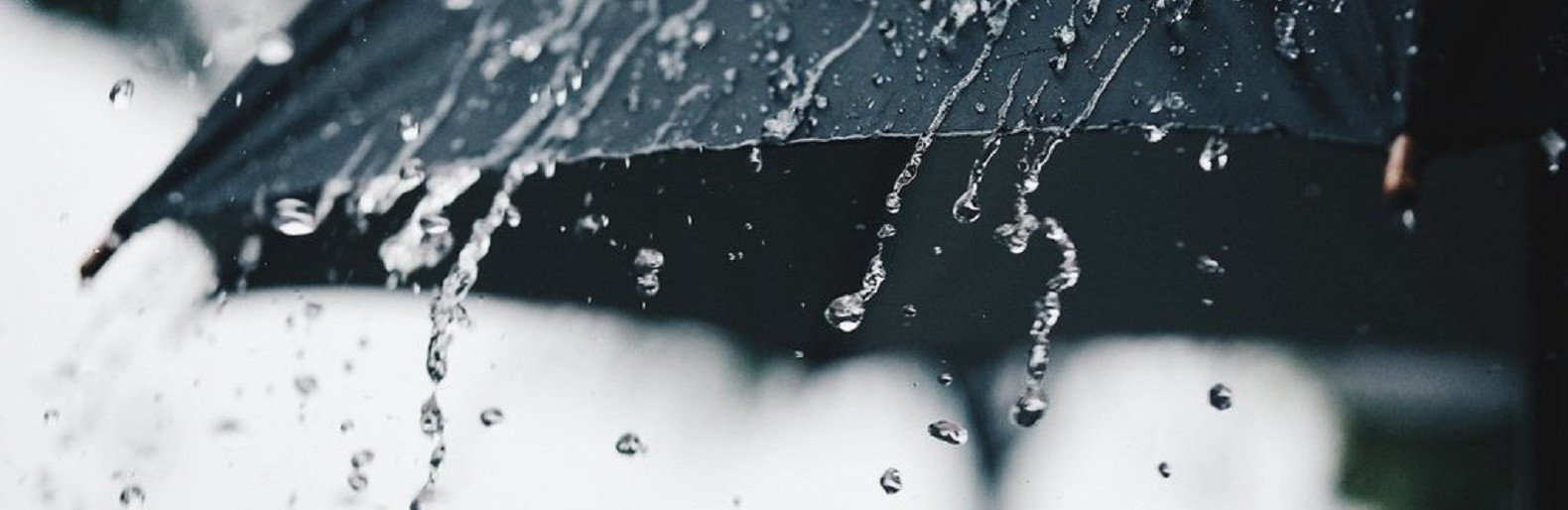  ������ ������ ���� ������ ����� �������� ����� ����� 