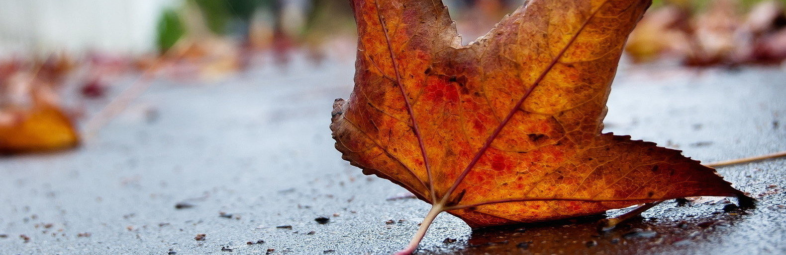  ������ ���������� ������ ����� ������� ������� ���� 