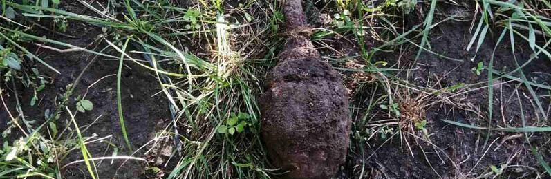 ����: 0564.ua