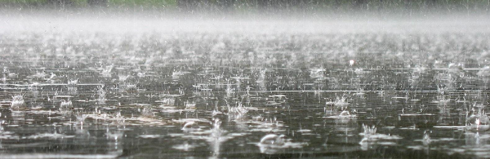 ����: 0564.ua