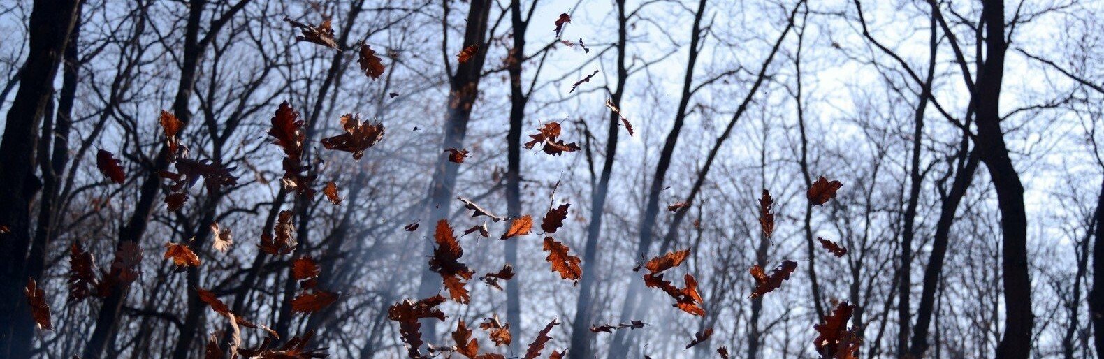 ����: 0564.ua