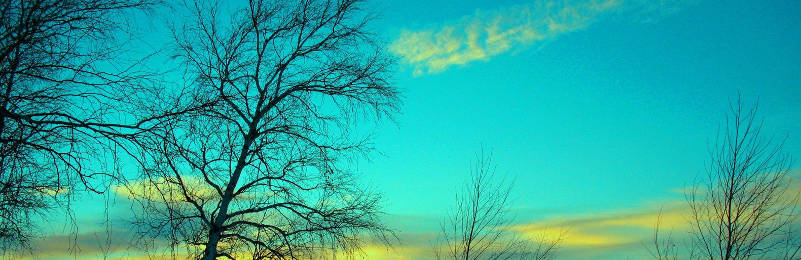  ���������� ���������� ���������� �������� ������ ������������ ����� ������ 