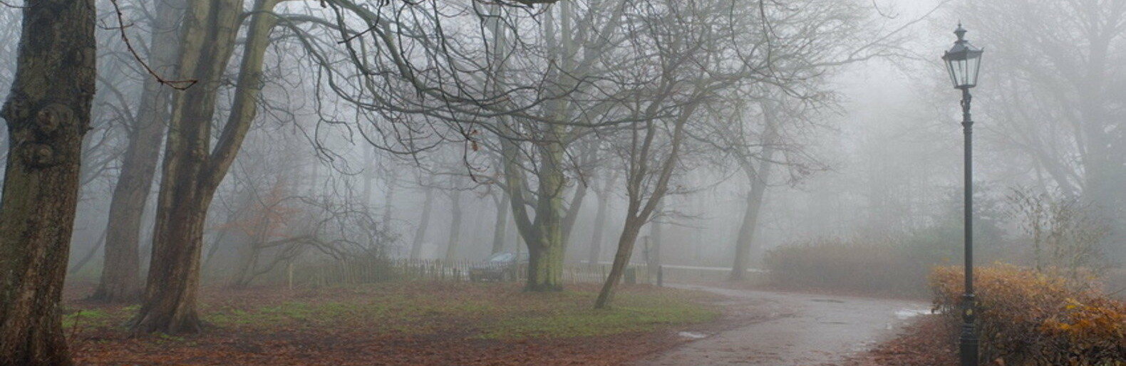  �������� ���� ���������� ��������� ������� ������ 