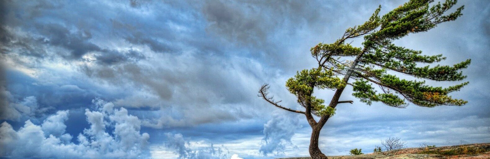  �������������� ��������� �������� ������� ��������� ������� ����� ��������� 