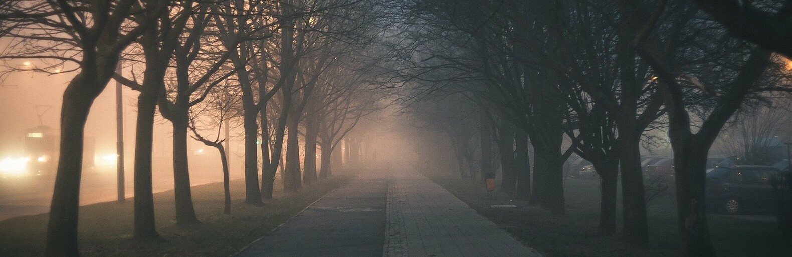  ������ ������ ���� �������� ����������� ��������� ����� ������� 