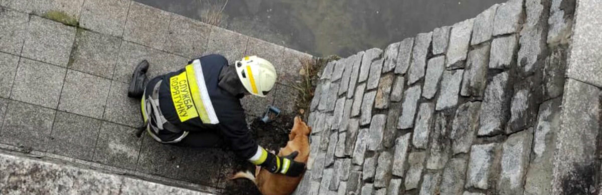 ����: 0564.ua