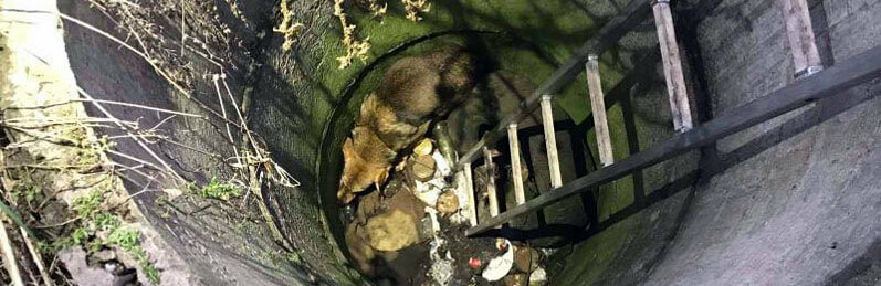  ������������ ������ ��������� ������� ������ ���������� ������� ���� 