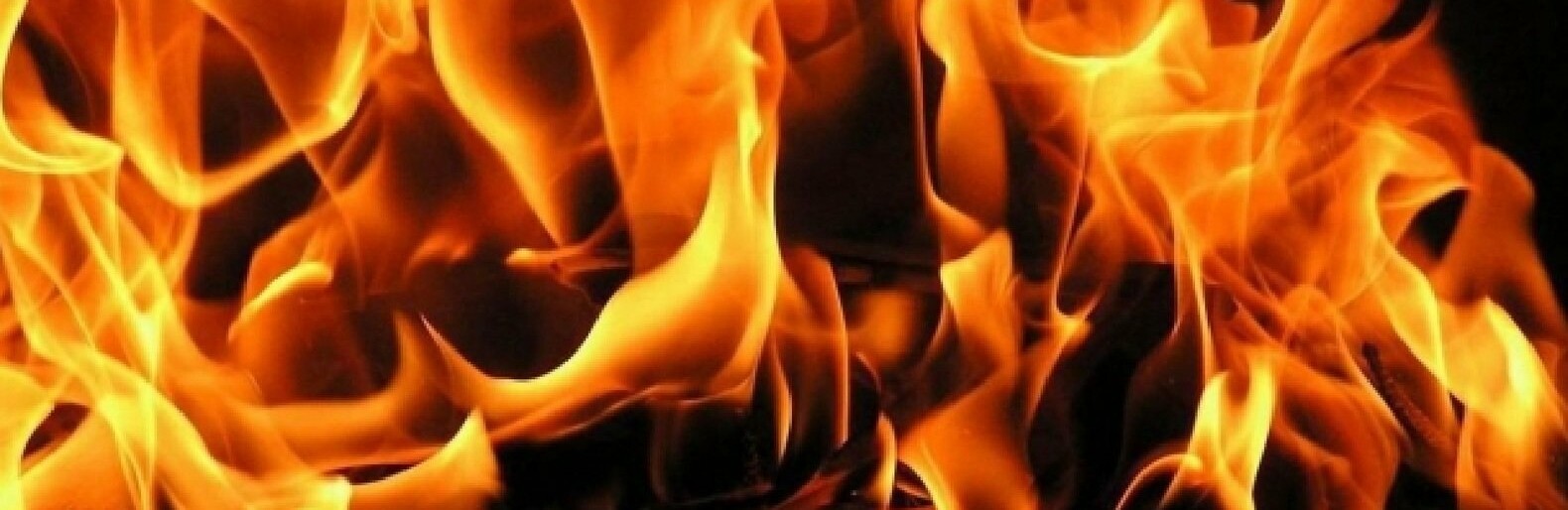  ������ ������������ ����� �������� ���������� ������� ������������ 