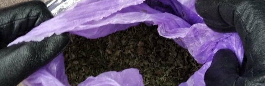  ������������ �������� ���� ��������� ������ ����������� ���� 