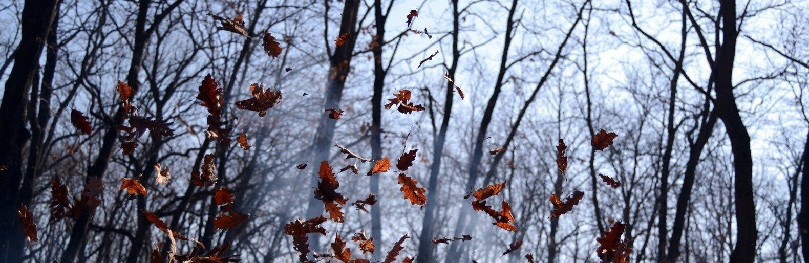  ������ ��������� ������ ���� ��������� �������� ���� 