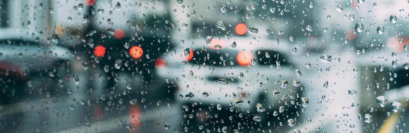  ������ ���� ������ ���� ������� ����� ��������� ����� 