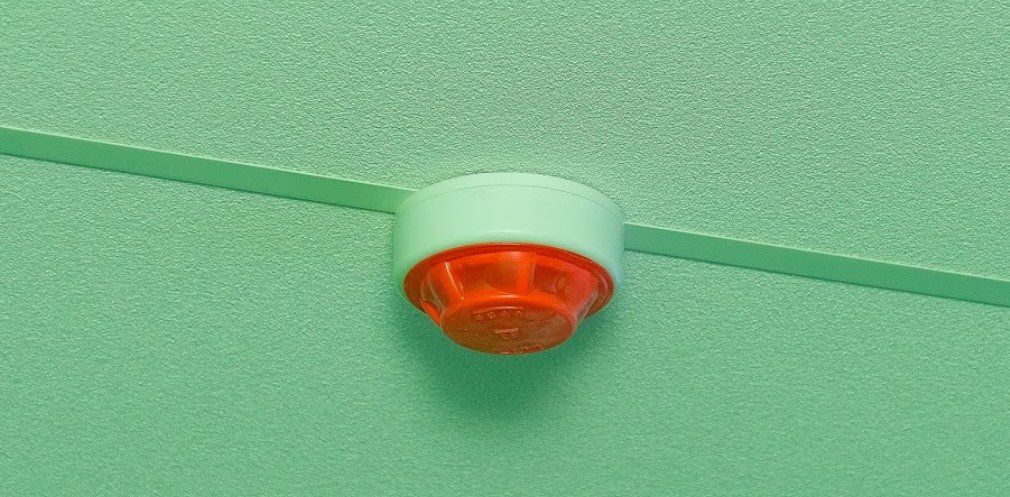  ������ ���� ��������� ������� �������� ������������ ��������� ������� 