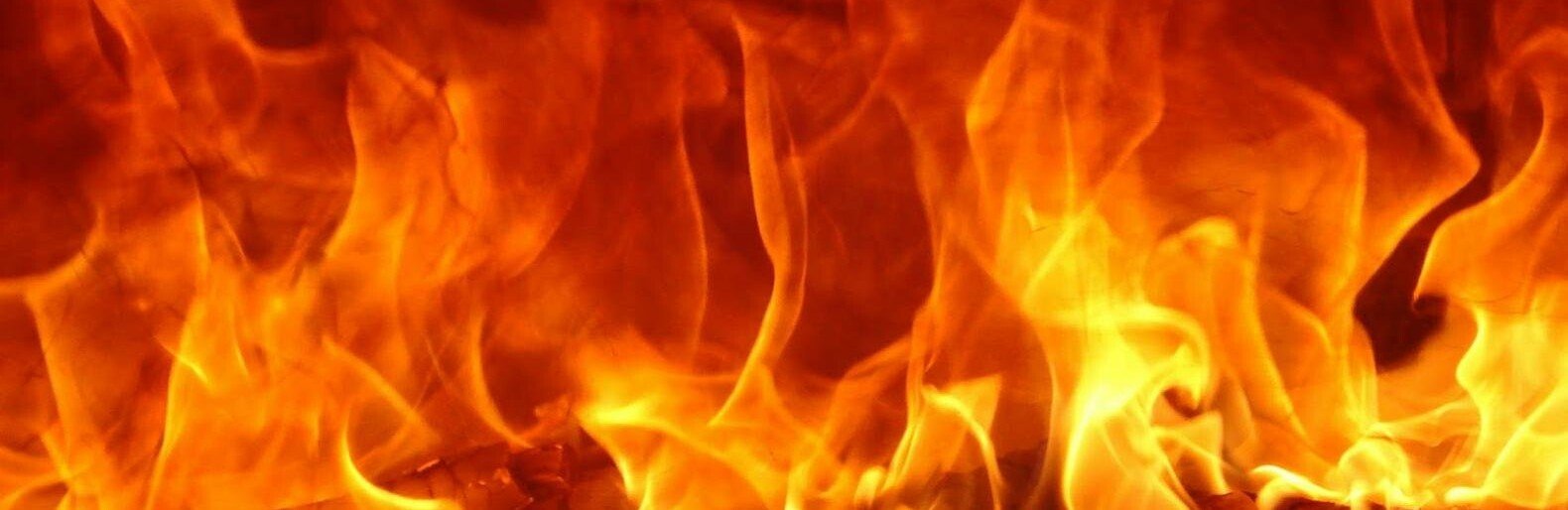  ������ ���� �������� ������� ������� �������� ������� ������ 