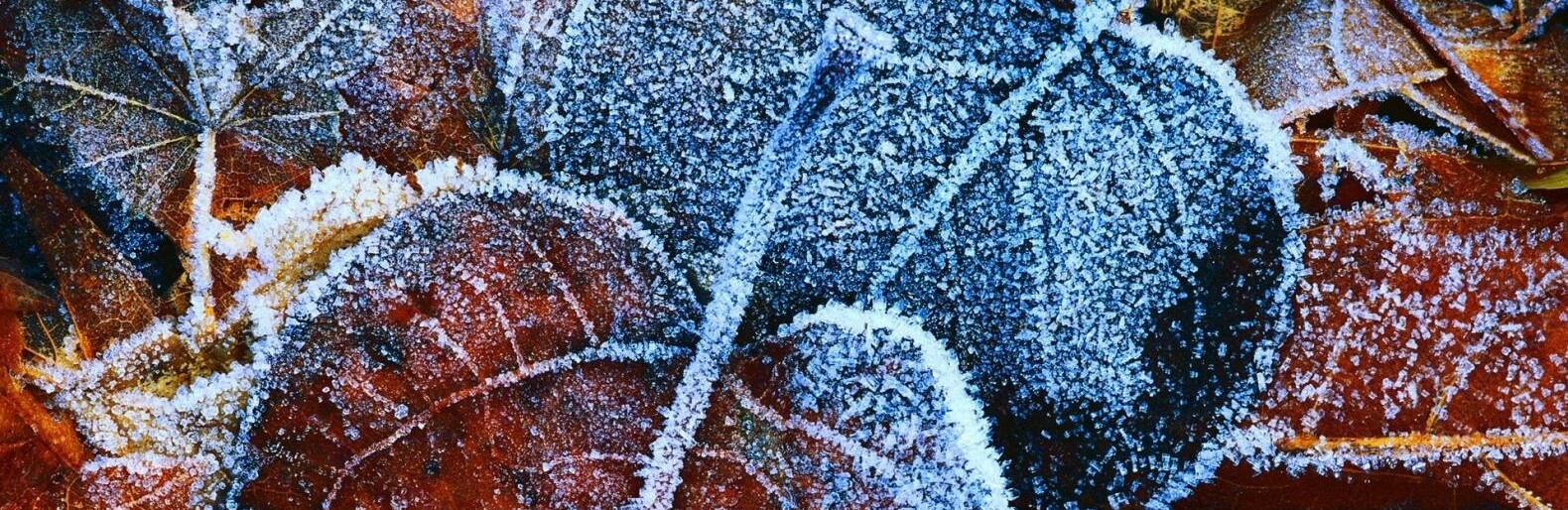 ����: 0564.ua