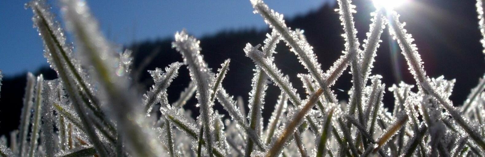  ��������� �������� ������� ������� �������� ���������� 