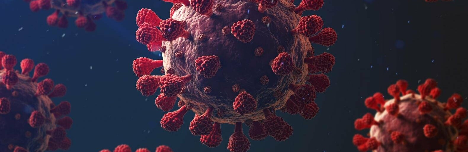  covid-19 ������� ����� ������������� 627 ������� ��������� ������� 