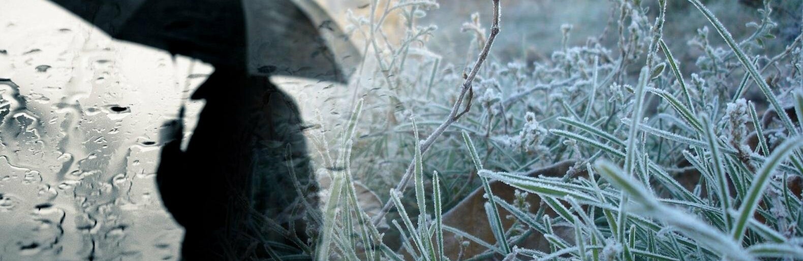  ������ ������ ���� �������� ���������� ������� ����� 