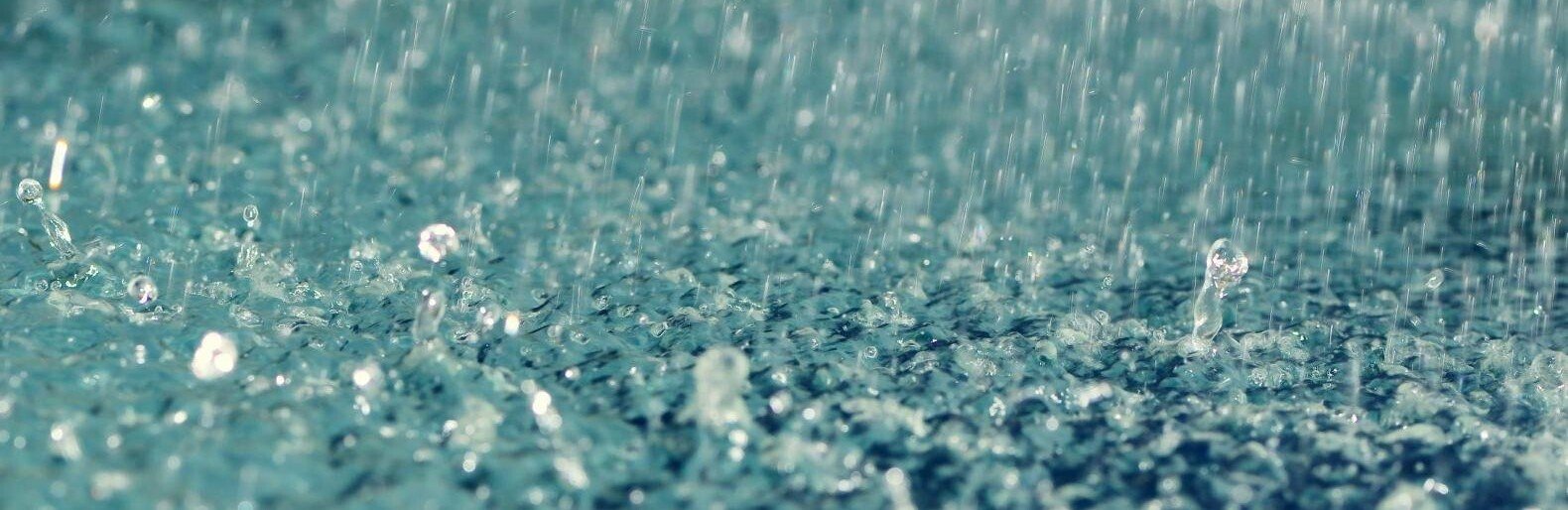  ����� ����� ���� ������ ���� ����������� ����������� �������� 