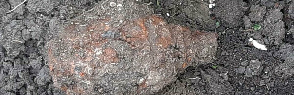  �������� ������ ���� ����� ������� ���� 