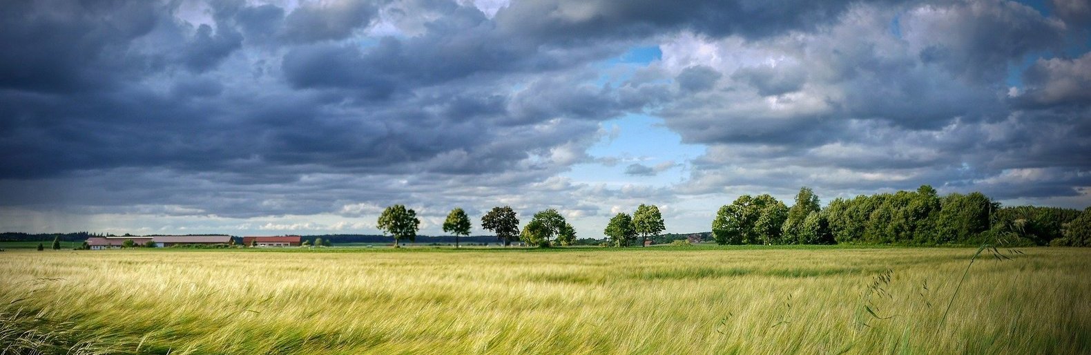  ������ ������ ���� ������� ������� ��������� 