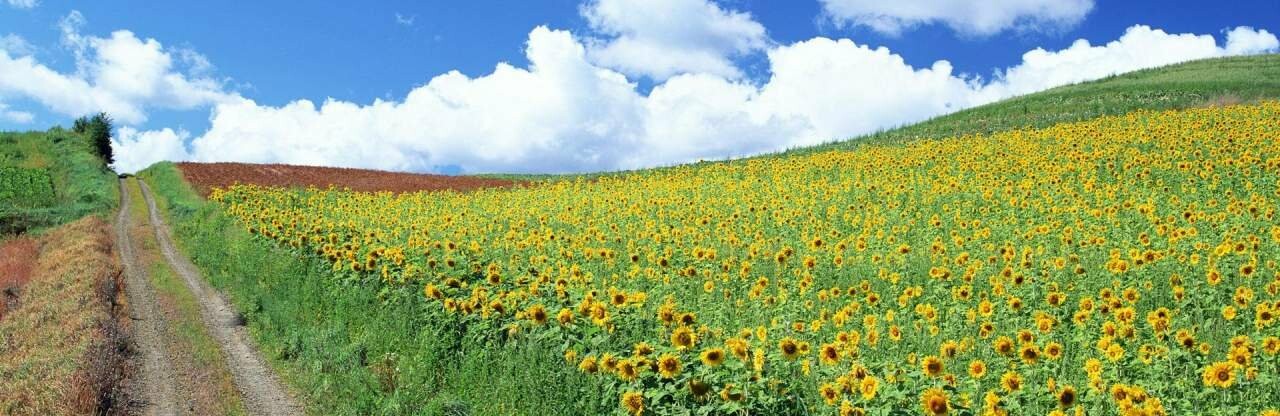  ������ ����-2021 �������� �������� ��������� ������� ��������� ������ 