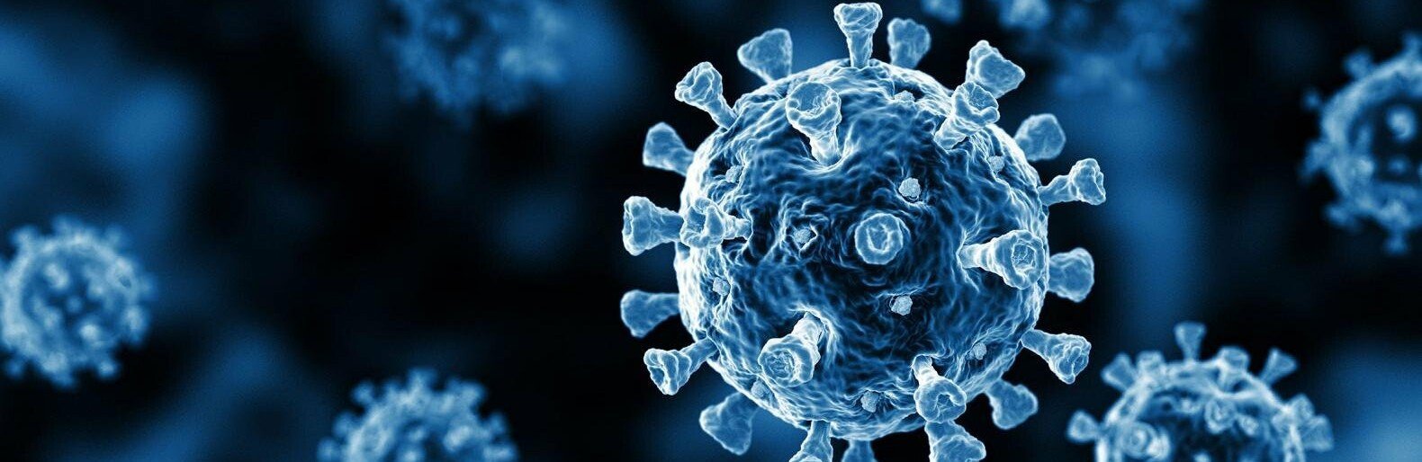  �������� ����� ������ ���� ������ �������� covid-19 