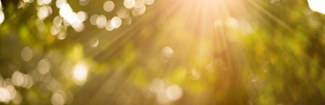  ������ ������ ���� ����� ������ 