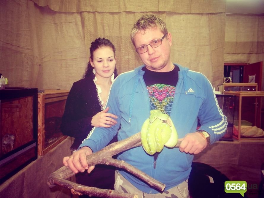 GFRANQ_KATARINA_FOMINA_26629421_LEAFFALL