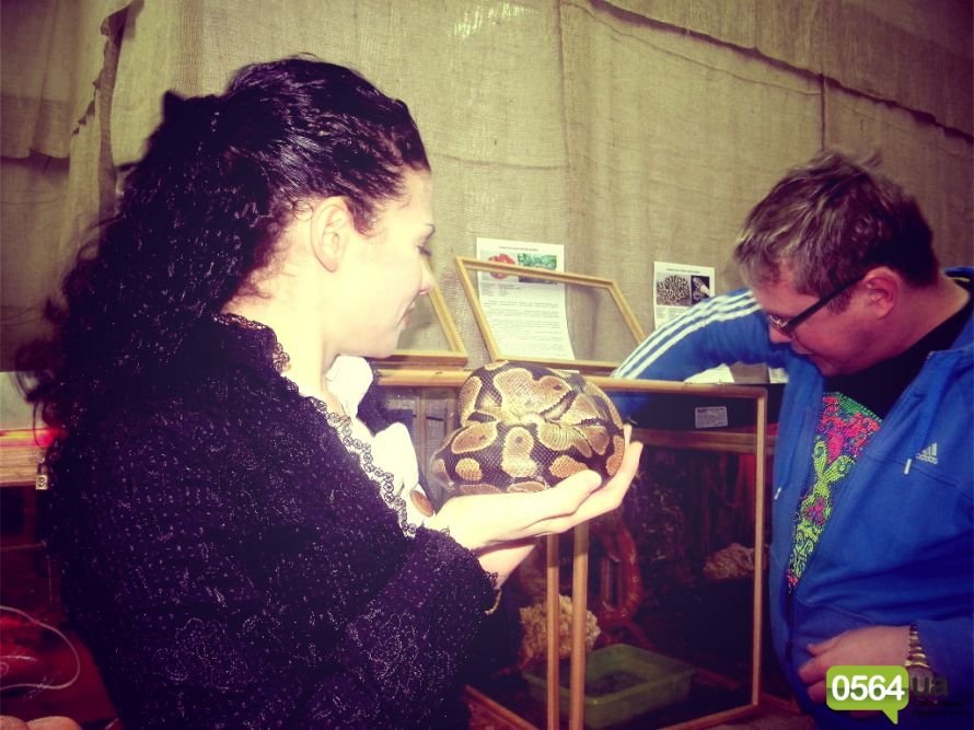 GFRANQ_KATARINA_FOMINA_26629079_LEAFFALL