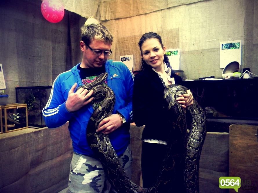 GFRANQ_KATARINA_FOMINA_26628848_TELEGRAPH