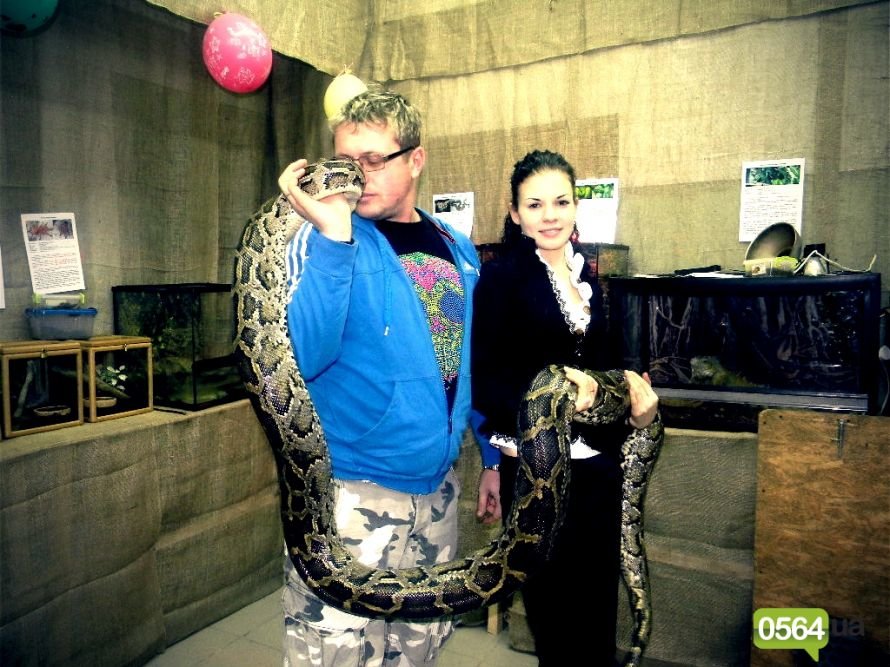 GFRANQ_KATARINA_FOMINA_26628761_BIPLANE