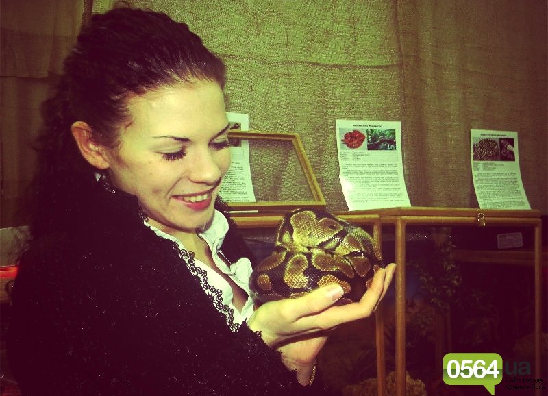 GFRANQ_KATARINA_FOMINA_26629028_NORDIC_FOREST