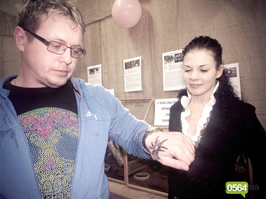 GFRANQ_KATARINA_FOMINA_26629880_WAYSIDE