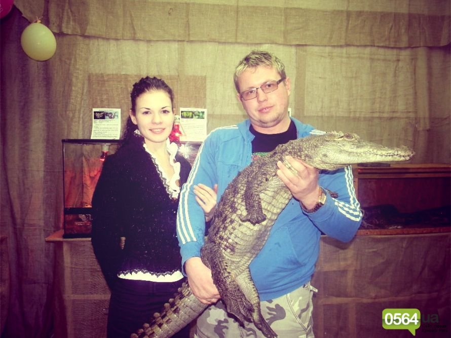 GFRANQ_KATARINA_FOMINA_26629717_LEAFFALL