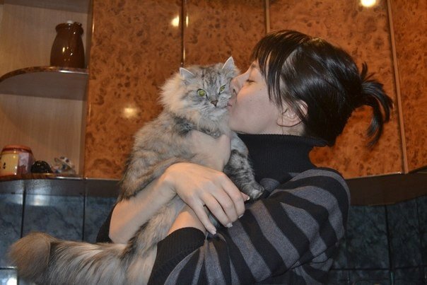 _i_leksi_136310141565
