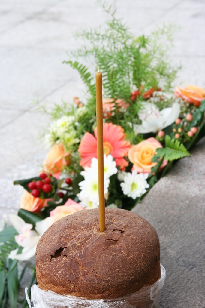 Копия IMG_8063 Копия IMG_8063