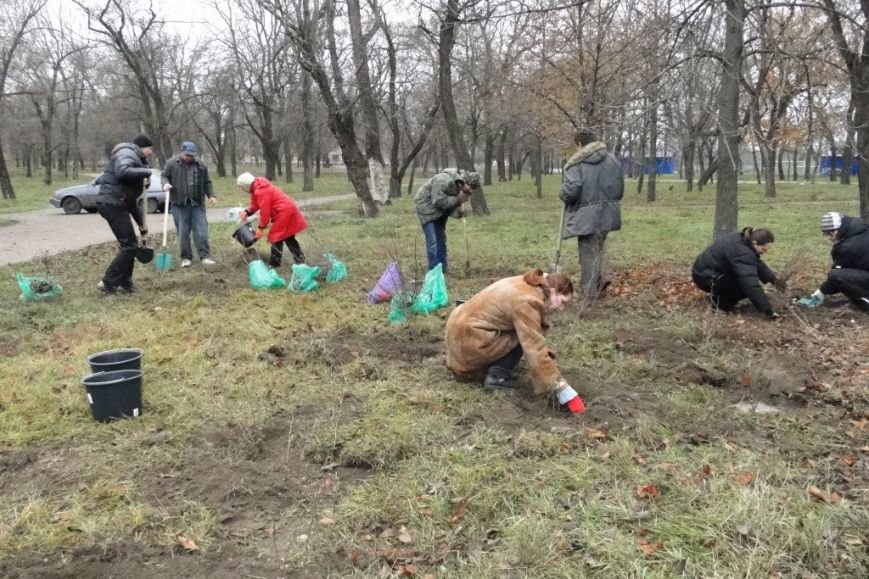 visadka_roslin_138947507051