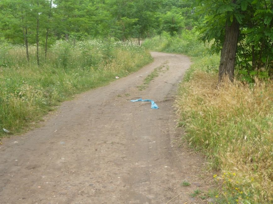 Криворожане провели акцию по уборке Соколовки свалки и собрали средства раненой в зоне АТО Ирине «Лютику» (ФОТО) (фото) - фото 1