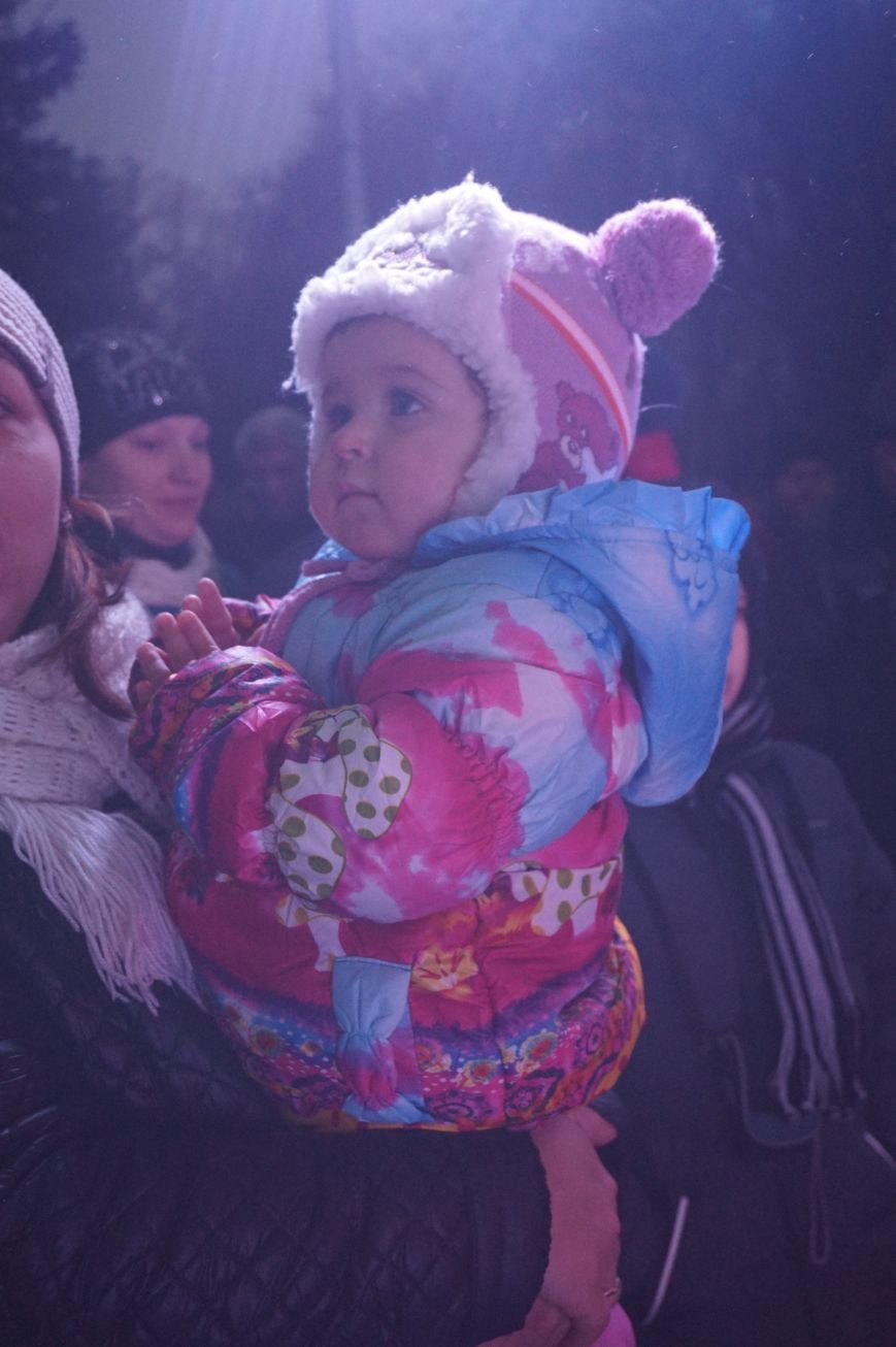 В День Святого Николая в Кривом Роге засияла огнями  главная елка города (ФОТО) (фото) - фото 1