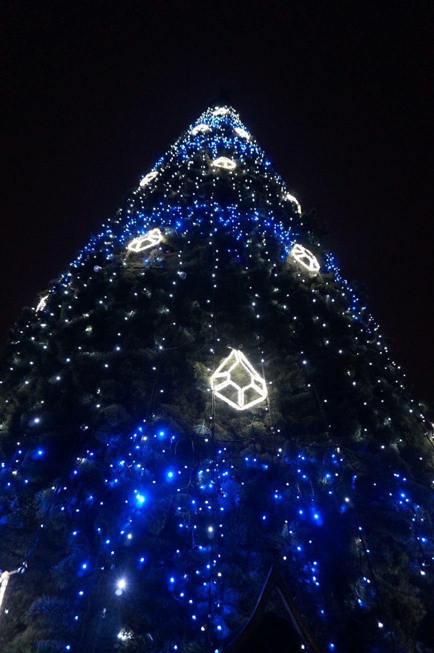 В День Святого Николая в Кривом Роге засияла огнями  главная елка города (ФОТО) (фото) - фото 1