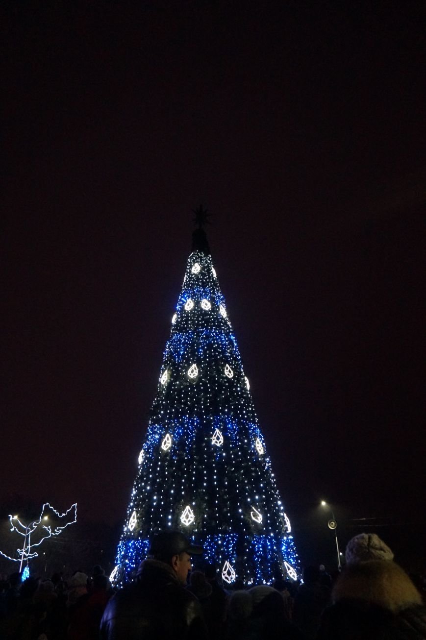 В День Святого Николая в Кривом Роге засияла огнями  главная елка города (ФОТО) (фото) - фото 1