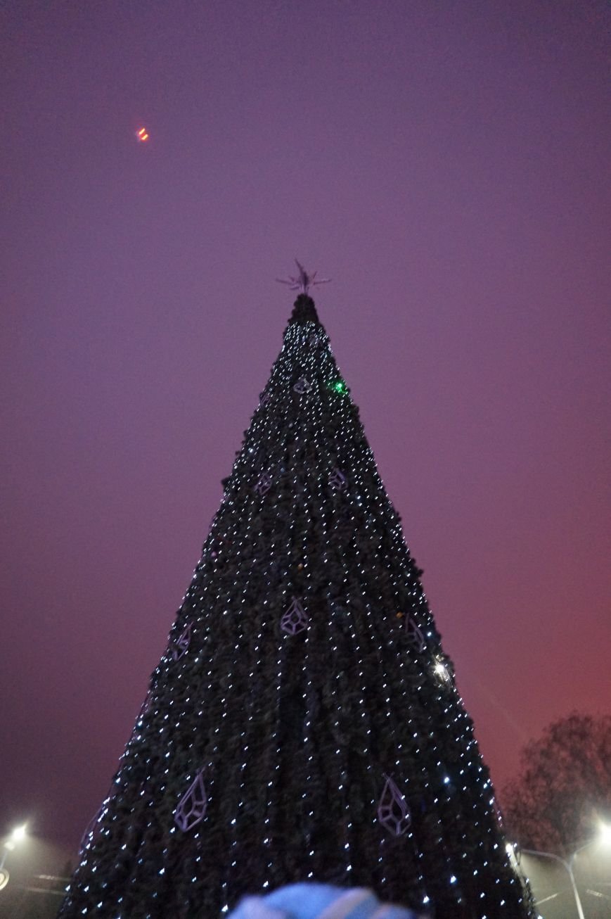В День Святого Николая в Кривом Роге засияла огнями  главная елка города (ФОТО) (фото) - фото 1
