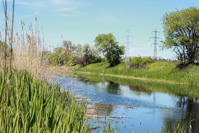 _1_1495024128007134-35DE